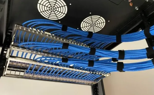 organized-blue-ethernet-cables-neatly-secured-in-a-commercial-low-voltage-wiring-panel-setup